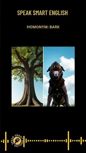 Homonyms in English | Bark Meaning Explained for Beginners. #englishteacher