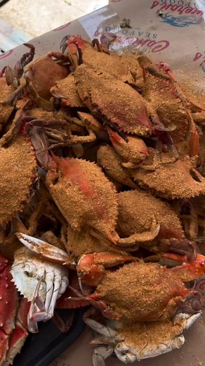 Chesapeake Bay’s Finest: Steaming Blue Crabs 🦀🔥 #crab #seafood #seafoodboil #cooking #maryland | Cameron's Seafood Online