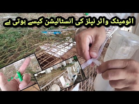 How To Install Rabbit Automatic Water Nipples To Cages || Rabbit Automatic Water System