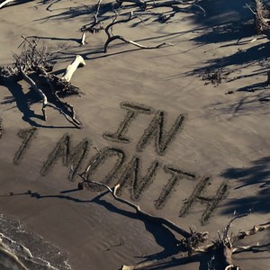 13 reactions | You wouldn’t want the chef’s compliments… Join this star-studded cast in one month’s time and indulge in #TheMenuMY, a deviously delicious comedic horror in cinemas, 17 November. https://disney.asia/4dcpO1 | 20th Century Studios | Facebook