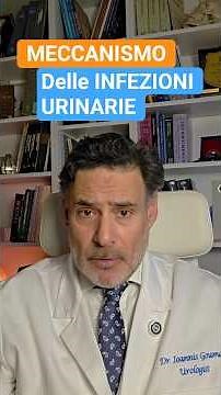 How Bacteria Infect the Urinary Tract: An Interview with Dr. Goumas