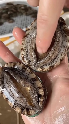 #haircareroutine #trendingvideo #foryou #hairstyle #goviral