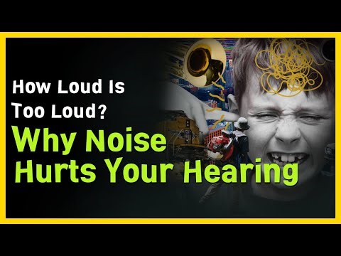 Understanding Decibels: Beyond Sound
