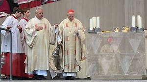 402K views · 2.9K reactions | St. Paul Center for Biblical Theology on Reels | Facebook