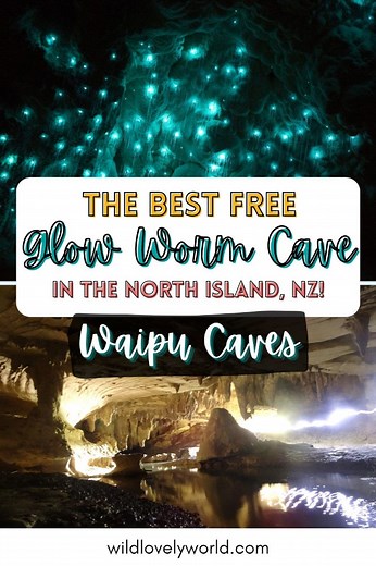 Waipu Caves: The Best FREE Glowworm Cave In New Zealand