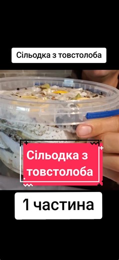 Смачний рецепт сільодки з товстолоба