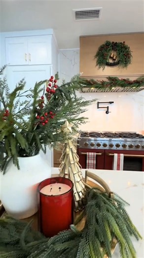 Bird poop is gone 👏🤣 Proof that even a kitchen window deserves a moment ✨ Garland a simple tension rod = instant holiday magic 🎄 | The East Coast DIY Life