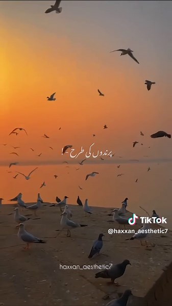 Barish: A Heartfelt Song by Arijit Singh