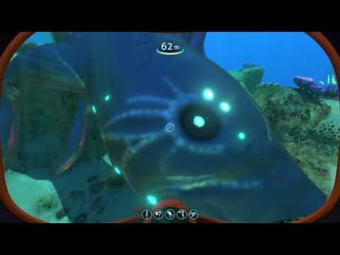 Gulper Leviathan Review (DE-EXTINCTION MOD) Subnautica