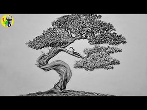 How to Draw and Shade a Bonsai Tree | Pencil Drawing | Time Lapse