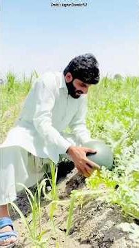 खेत से तरबूज किसने चुराया?😱wood workingwitharth handcraftidea/homemaderealtalent skill-art