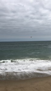 11K views · 1.4K reactions | Some of us like to fly solo.. | Victoria Principal | Facebook