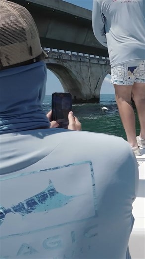 Ryan fighting a nice bridge tarpon! Come get in on some tarpon action this June in the Florida Keys! #tarpon #tarponseason #tarponfishing #junefishing #islamorada #floridakeys #bnmu #catchandrelease #fishingislife @budnmarysmarina @pennfishing @ownerhooks @stanzfishing @betts_tackle @power.pole @yamahaoutboards | Islamorada Tarpon Fishing