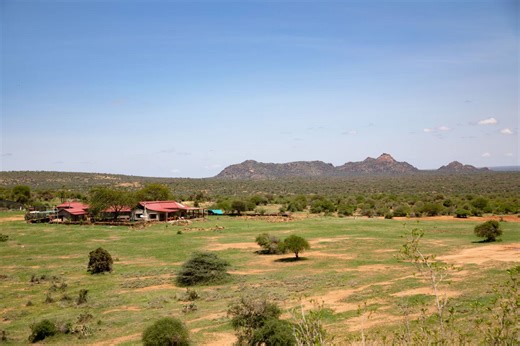 Princeton celebrates 25 years of research and teaching at Mpala, Kenya