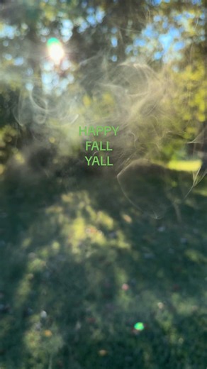 Happy Fall Y'all! 👻 Spooky Ghost Season Greeting