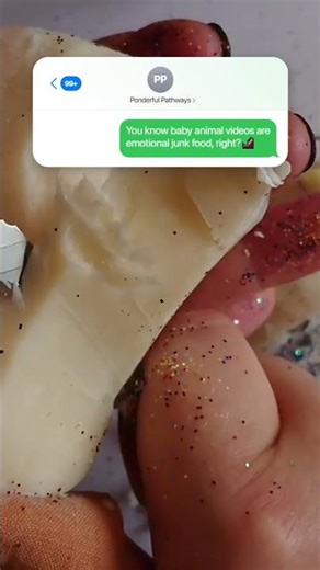 The Healing Power of Baby Hamsters