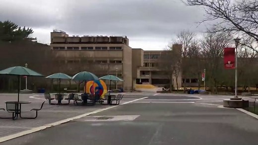 Students stuck on college campuses describe life while social distancing