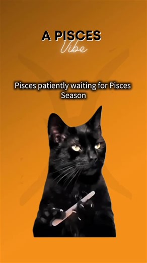 Tik Tok🕚♓️💜 #pisceseason #zodiacsigns #blackcat