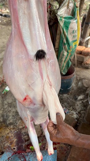 এই সেই কাকা দেশি খাসির পেট থেকে উদ্ধার হল অনেক অনেক খাজানা 😱👀🫨 #viralvideo #muttoncutting #meat