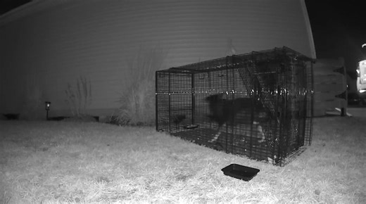 17K views · 324 reactions | Yesterday one of our team members...