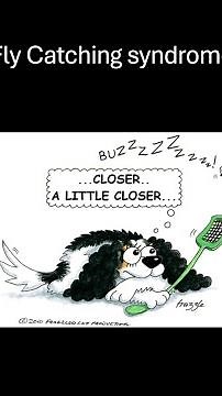 Fly catching syndrome