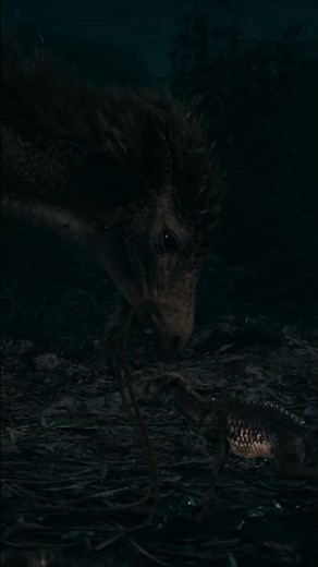 A Qilin is born #HarryPotter #FantasticBeasts #Qilin #NewtScamander