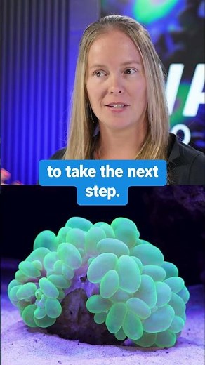 Beginner’s Guide to Stunning LPS Corals 🌊 | Year of the Reef Ep. 17