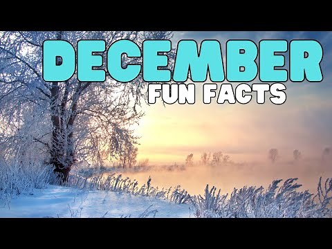 December Fun Facts | Learn about some interesting things that happened in December