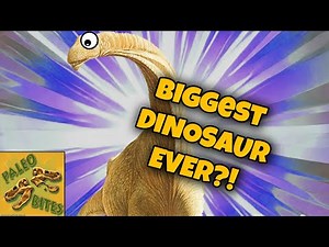 Argentinosaurus, the Argentine Lizard