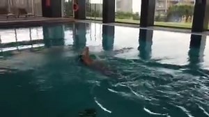 Cardio swim session in the pool today! 󾟞 | Gareth Bale