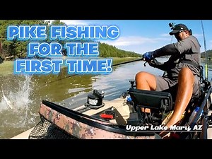 Upper Lake Mary, AZ - Pike Fishing For The First Time: Crazy Bites!