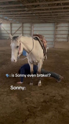 Krista Lynn McNea on Reels