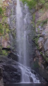 Take 40 seconds from your day and just breathe with us. | Cuddlist Professional Cuddle Therapy