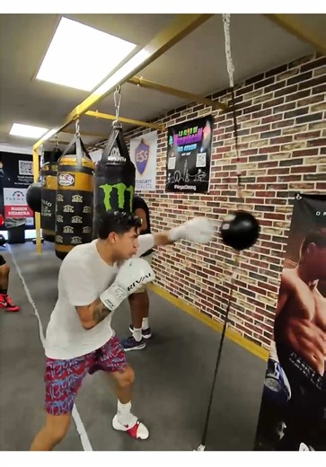 Discover Tijuana: The Heart of Mexican Culture