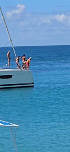 16K views · 136 reactions | Someone please tell Captain Sherwin of Lambi Queen Tours that I’m still not speaking to him! I was in the middle of capturing a perfect shot of these visitors jumping into the sea when he distracted me over a lobster. The second I turned to respond, they jumped. Thanks, Captain   | Explore Carriacou and Petite Martinique | Facebook