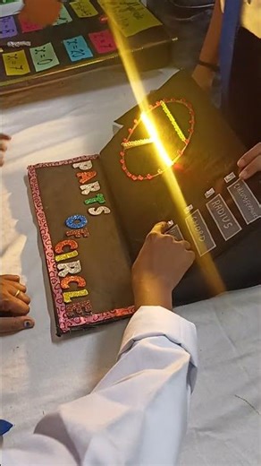 Maths exhibition #Amazing ideas of children