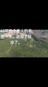 #智超第二分场那炮山1300亩林地#智超第二分场1300亩林地被强砍#智超第二分场林地纠纷#马山智超第二分场林地被强砍事件#马山智超第二分场林地