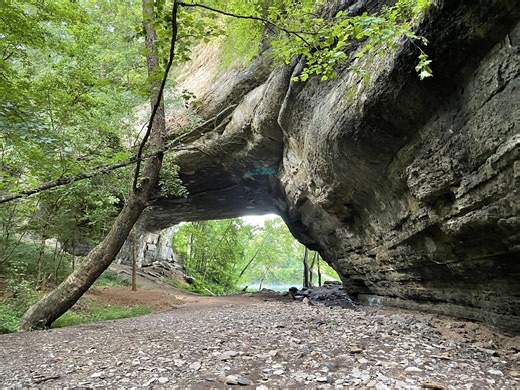 Goff releases statement about Rockhouse | Laker Country 104.9 FM WJRS