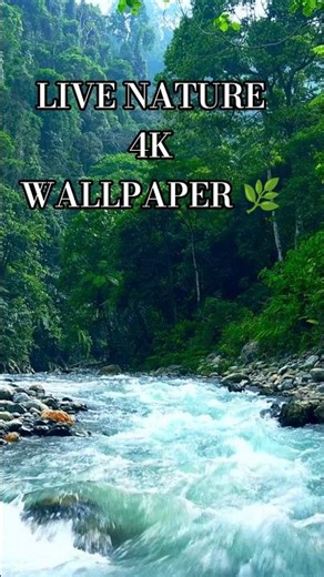 Escape into Nature 🍃💚 | Relaxing Live Wallpaper 🌊✨ #shorts#live #trendingshorts