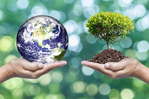 1.8K views · 23 reactions | This is the instructional video for the iOS version of PlantSnap 3.0, rendered horizontally in landscape mode | PlantSnap | Facebook