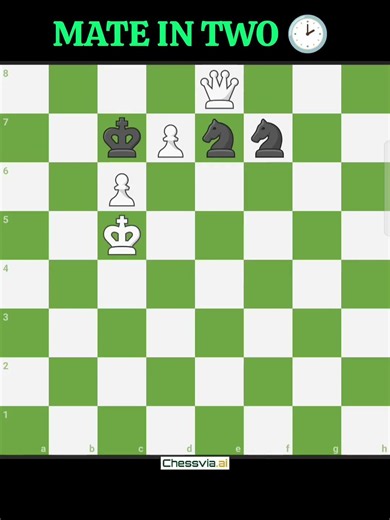 Mate In 2 . White To Play 🧩♟️#puzzle #2movescheckmate #chessgame #chess #brilliantmove #chessmaster