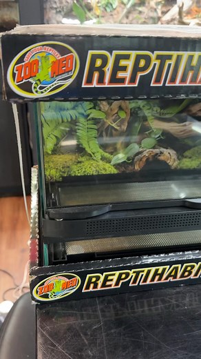 70K views · 705 reactions | How to make a bioactive desert terrarium using ZooMed’s new 10g front opening enclosure. #everevolvingexotics #reptileshop #tucson #arizona #bioactive | Ever Evolving Exotics | Facebook