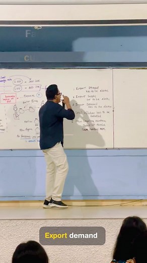 Understanding Export and Import Elasticity in Economics