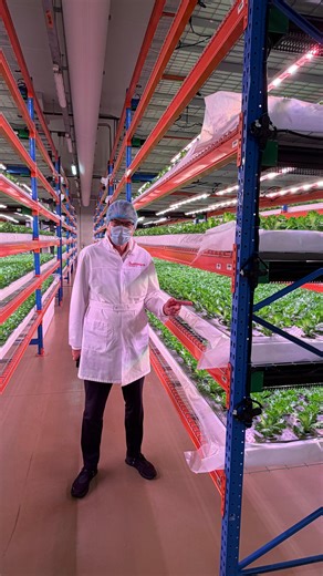 Next up on my trip, I visited Bustanica, the world’s largest indoor vertical hydroponic farm, located in Dubai, producing more than 1 million kg of leafy greens a year with a daily output of around 3 tonnes. The produce is clean and healthy, grown without soil, pesticides or herbicides in a fully controlled environment, the greens are so pure they can be eaten straight from the pack without washing, since tap water often introduces contaminants. The resource-efficiency is remarkable: up to 95 % 