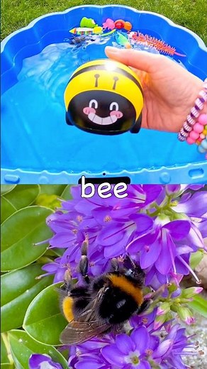 Bug Insect Names for Kids to Learn with Toys: Fly Weevil Bee Millipede Stink Bug