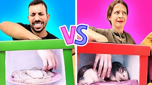 5.5K views | Hilarious tiktok challenges and games to have fun with friends | 3-Minute Hacks | Facebook