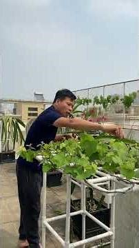 Top 10 Must-Know Tips for Spring Planting Success