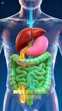 What Really Happens After Your Gallbladder Is Removed?