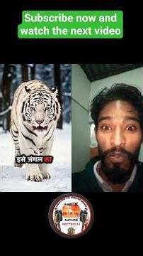 #pitbull #reels #trending #pets #reels #viral #facts #adventure #yt #science #nature #shorts #tiger