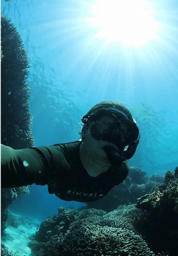Exploring the Great Barrier Reef: A Day at Lady Elliot Island